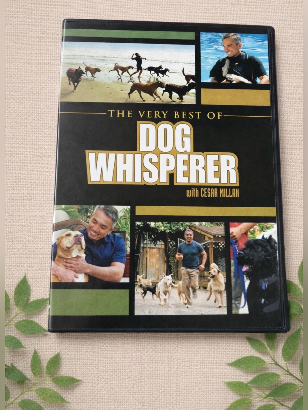 The Very Best of Dog Whisperer with Cesar Millan DVD